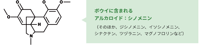 'ボウイに含まれる成分・薬効
