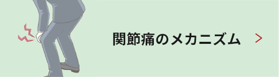 関節痛のメカニズム