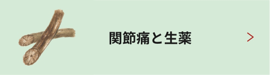 関節痛と生薬