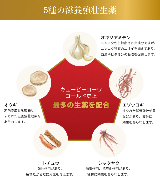 5種の滋養強壮生薬 オキソアミヂン エゾウコギ シャクヤク トチュウ オウギ