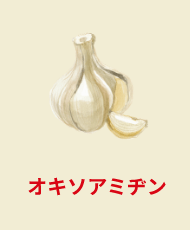 オキソアミヂン