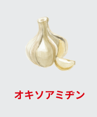 オキソアミヂン